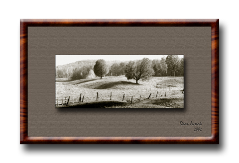 Traverse-City-with-rosewood.jpg