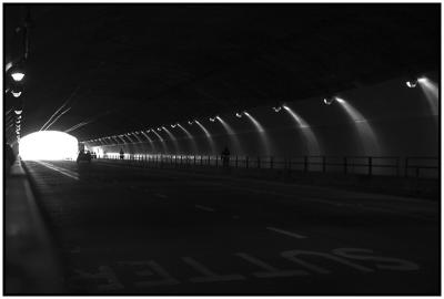 Into The Light