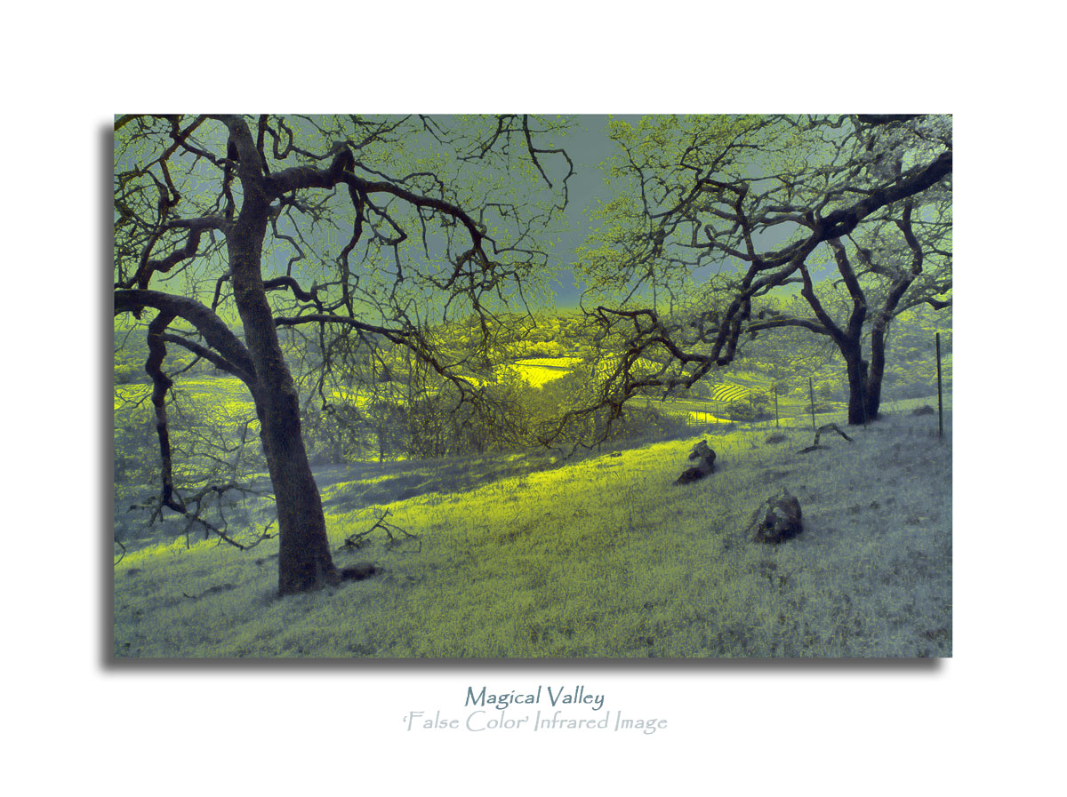 False Color Infrared-2