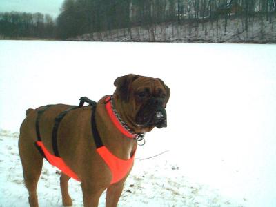 Snow Face
