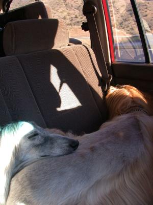 Snoozin' on the ride home