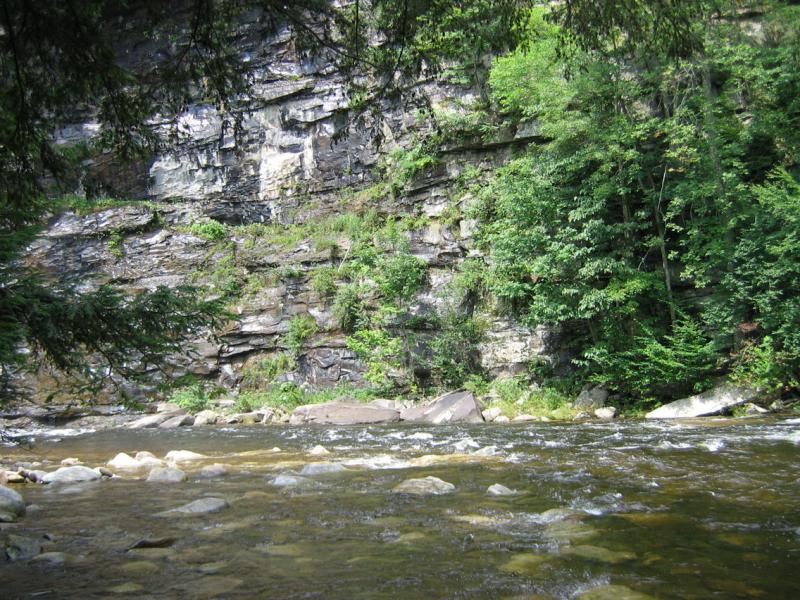 Rocks Along the Loyalsock