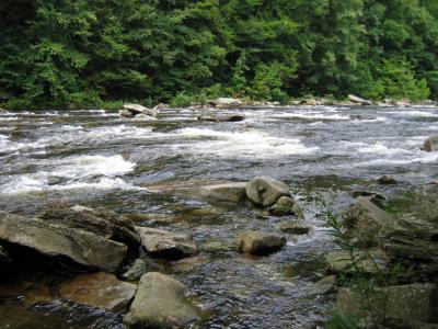 Loyalsock Creek