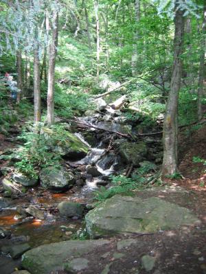 Loyalsock Creek and World's End State Park