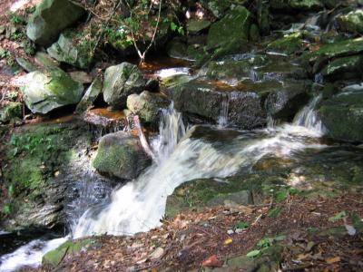 Small Cascade