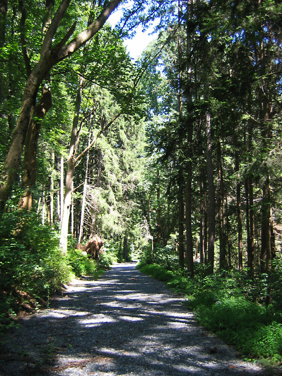 Boulevard Trail