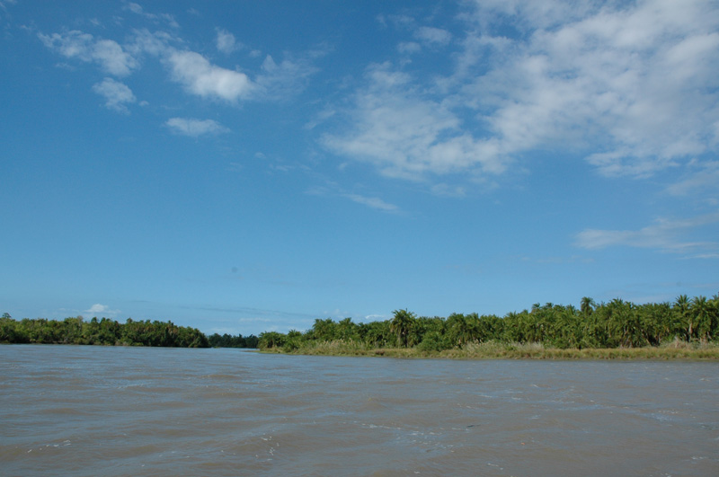 DSC_1537.JPG