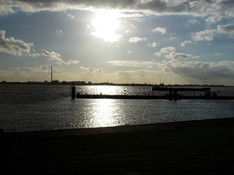 DSC05444.JPG