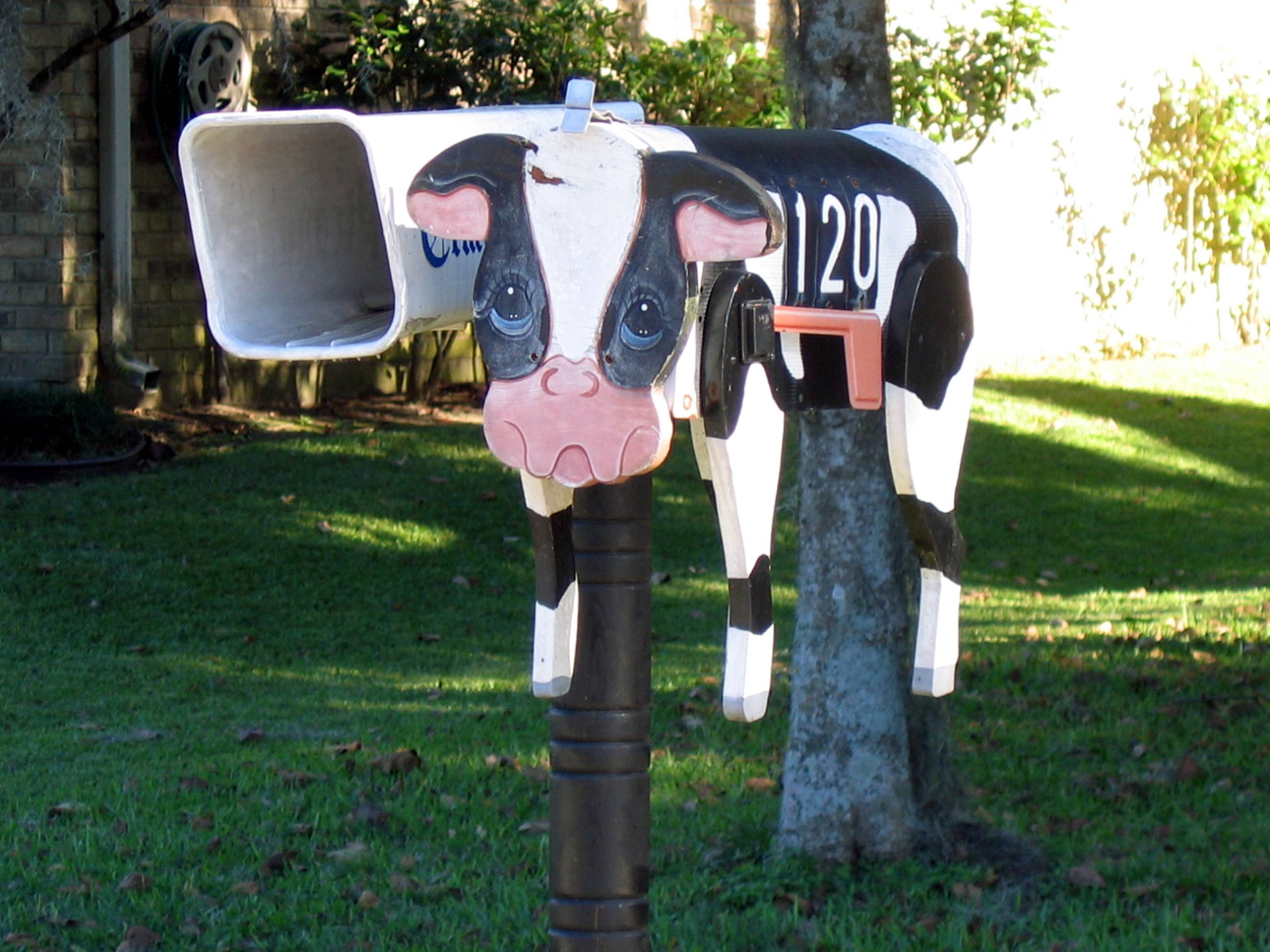 Moooo!