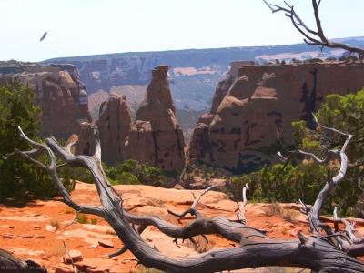 Colorado Nat'l Monument (cutout)