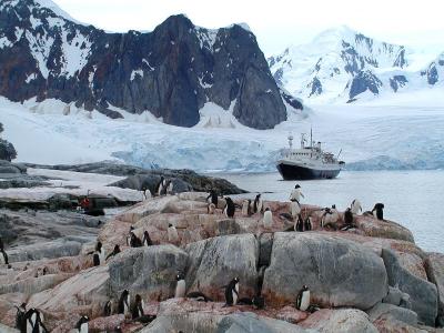 Petermann Island