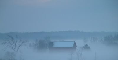 Morning Fog