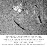 Active Region 9985