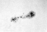 Active Region 8323