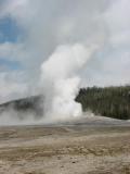 Yellowstone 9