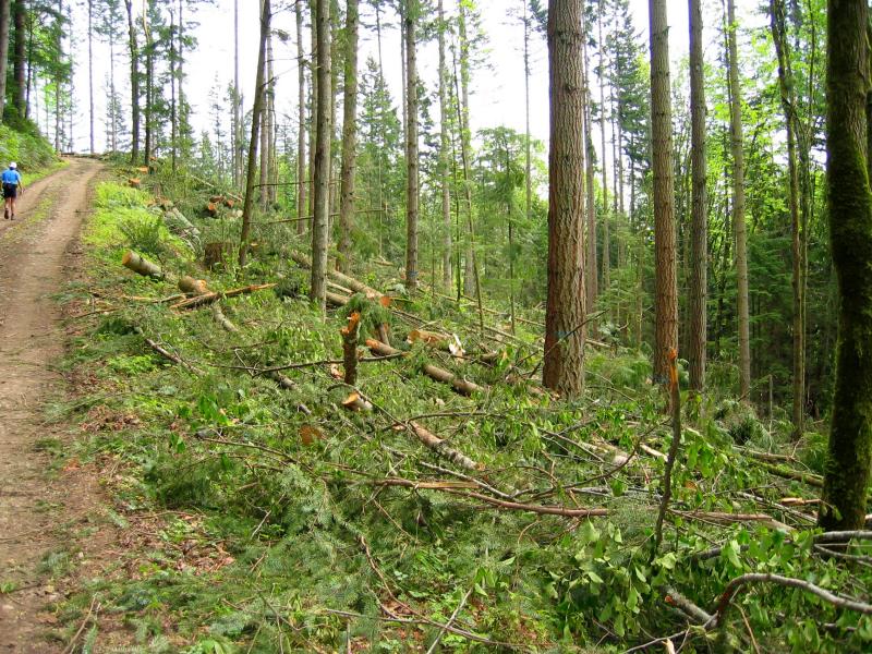 Logging at the bottom of South Tiger Traverse