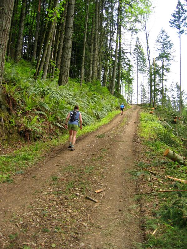 Deb & Tony climbing South Tiger Traverse