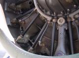 Wirraway 9 cylinder radial engine.