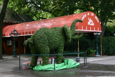 Elephant Topiary for Republican Conventioneers