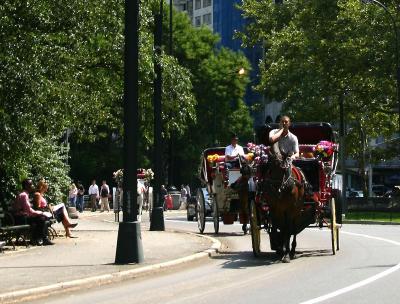 Carriage Ride near CPS