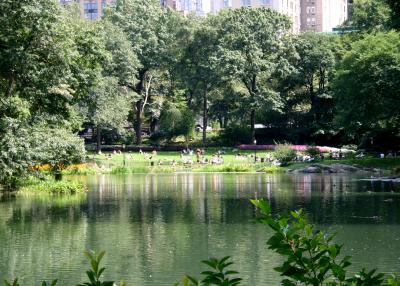 Pond at CPS near Fifth Avenue