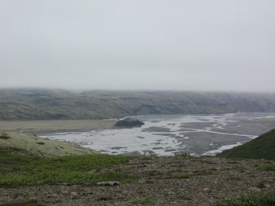 Branch of the sea at low-tide (ebb)