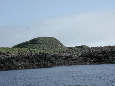 Back to Djupivogur