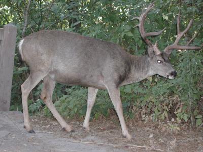 Ankunft im Yosemite Nationalpark