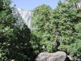Auf dem Weg zum Yosemite Nationalpark