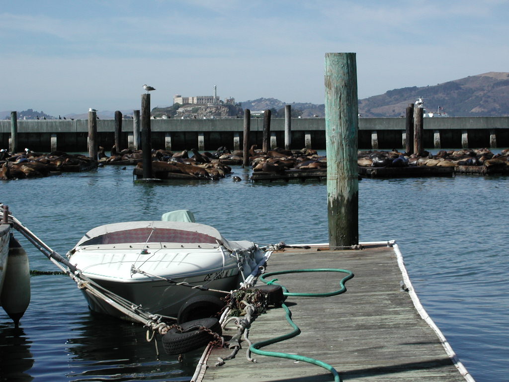 Bootsfahrt zur Golden Gate Bridge und um die Gefngnisinsel Alcatraz