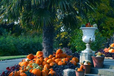 gourds-and-palm.jpg