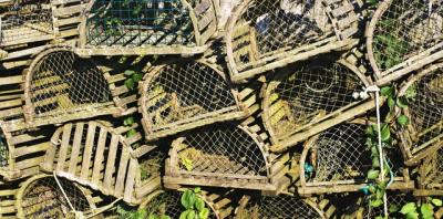 Lobster Cages