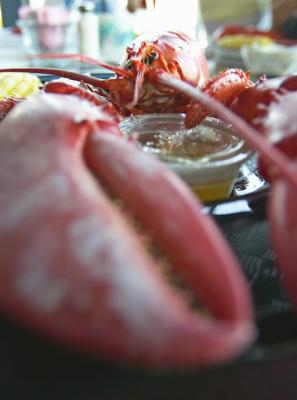 Lobster feast #2