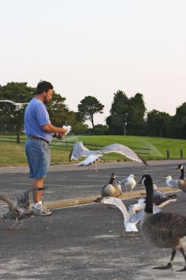 Feeding