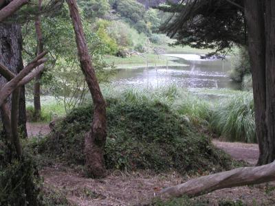 P1010092.JPG