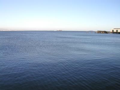 P1010110.JPG