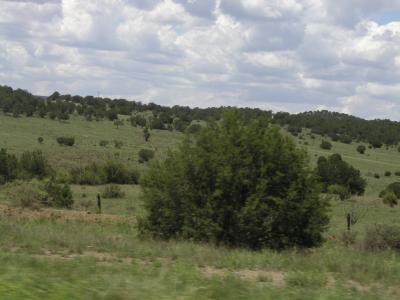 P1010155.JPG