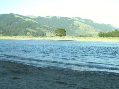 P1010026.JPG