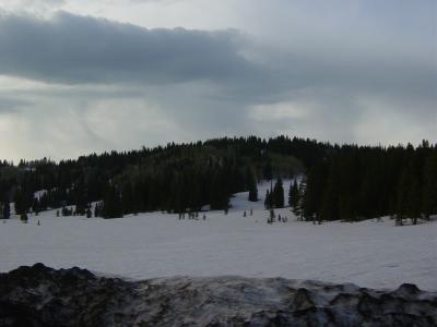 DSC01811.JPG