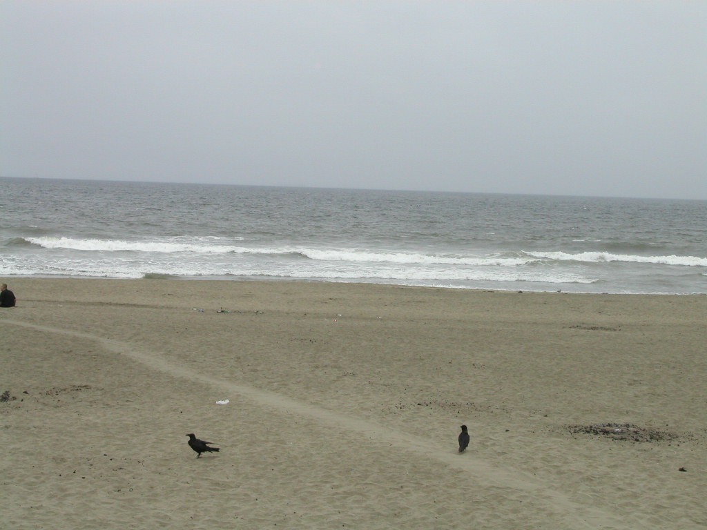 P1010094.JPG