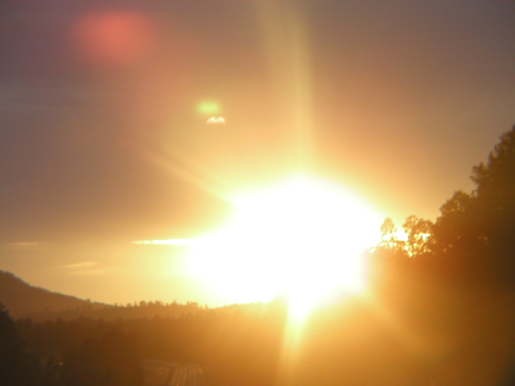 P1010231.JPG