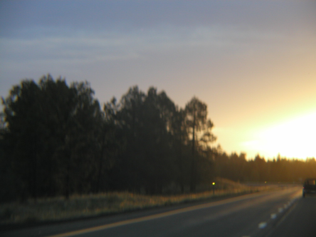 P1010232.JPG