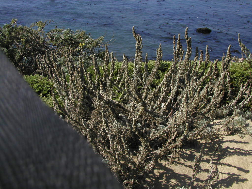 P1010266.JPG
