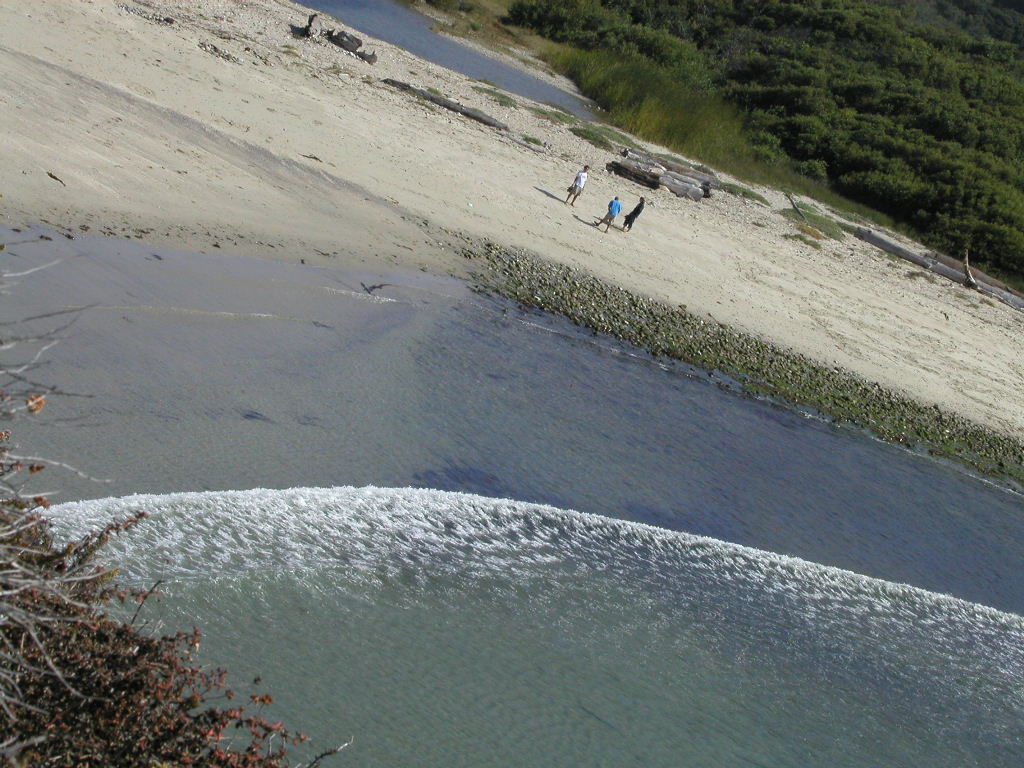P1010267.JPG