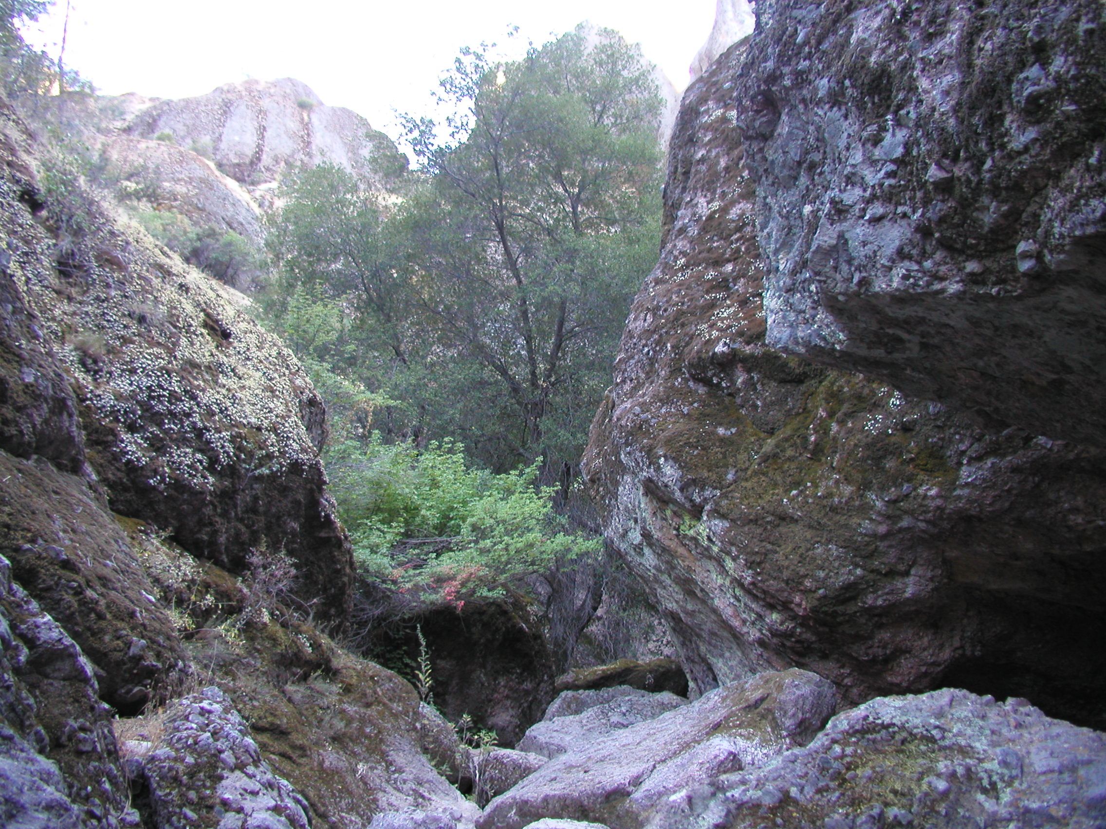 P1010283.JPG