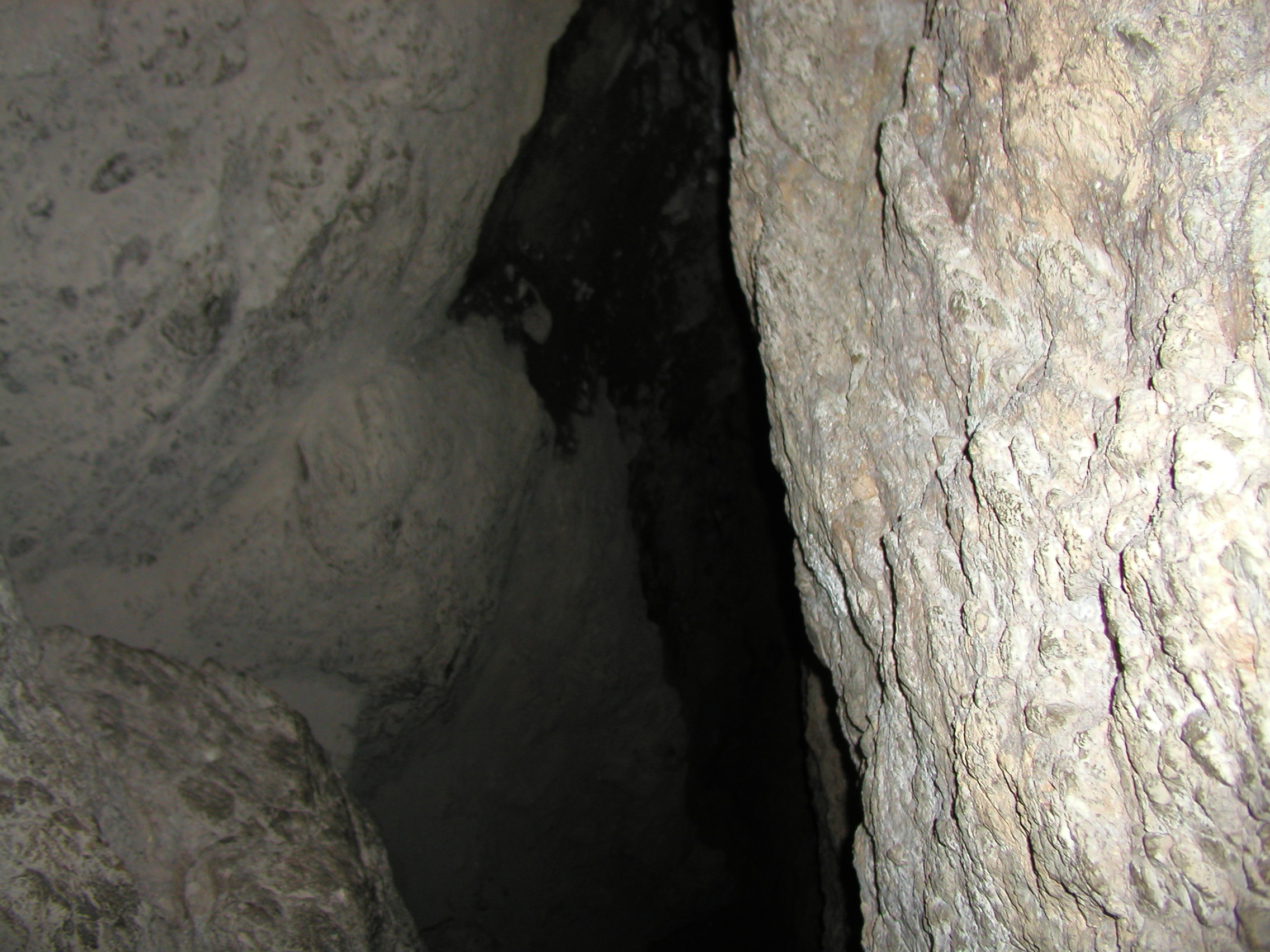 P1010288.JPG