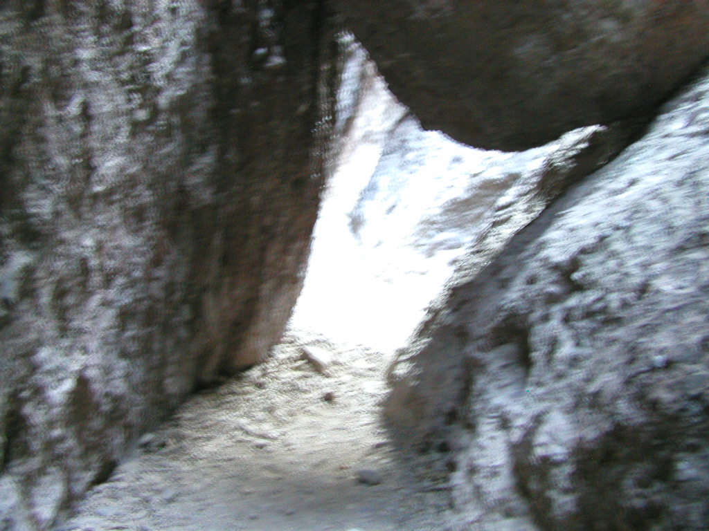 P1010303.JPG
