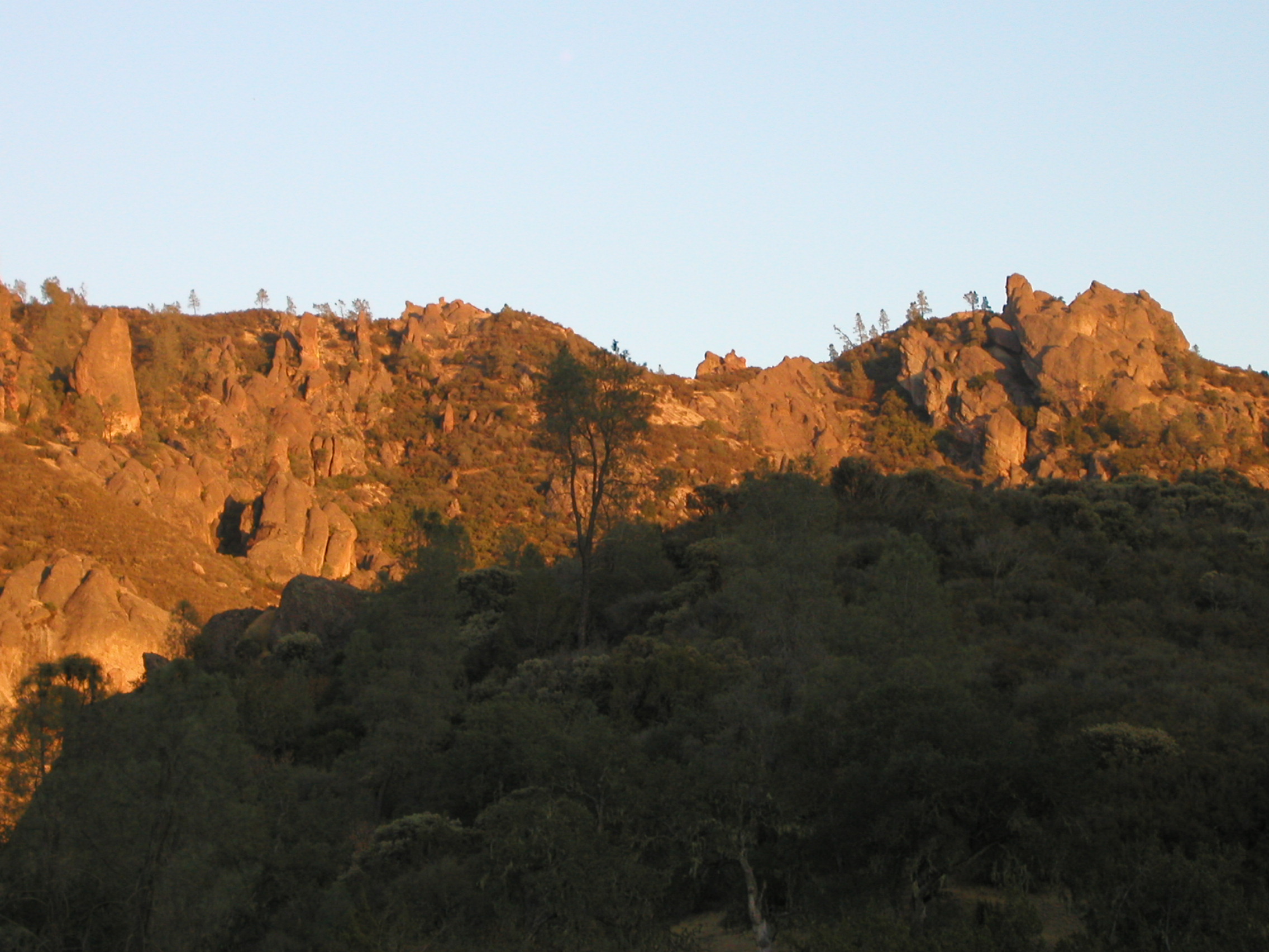 P1010305.JPG