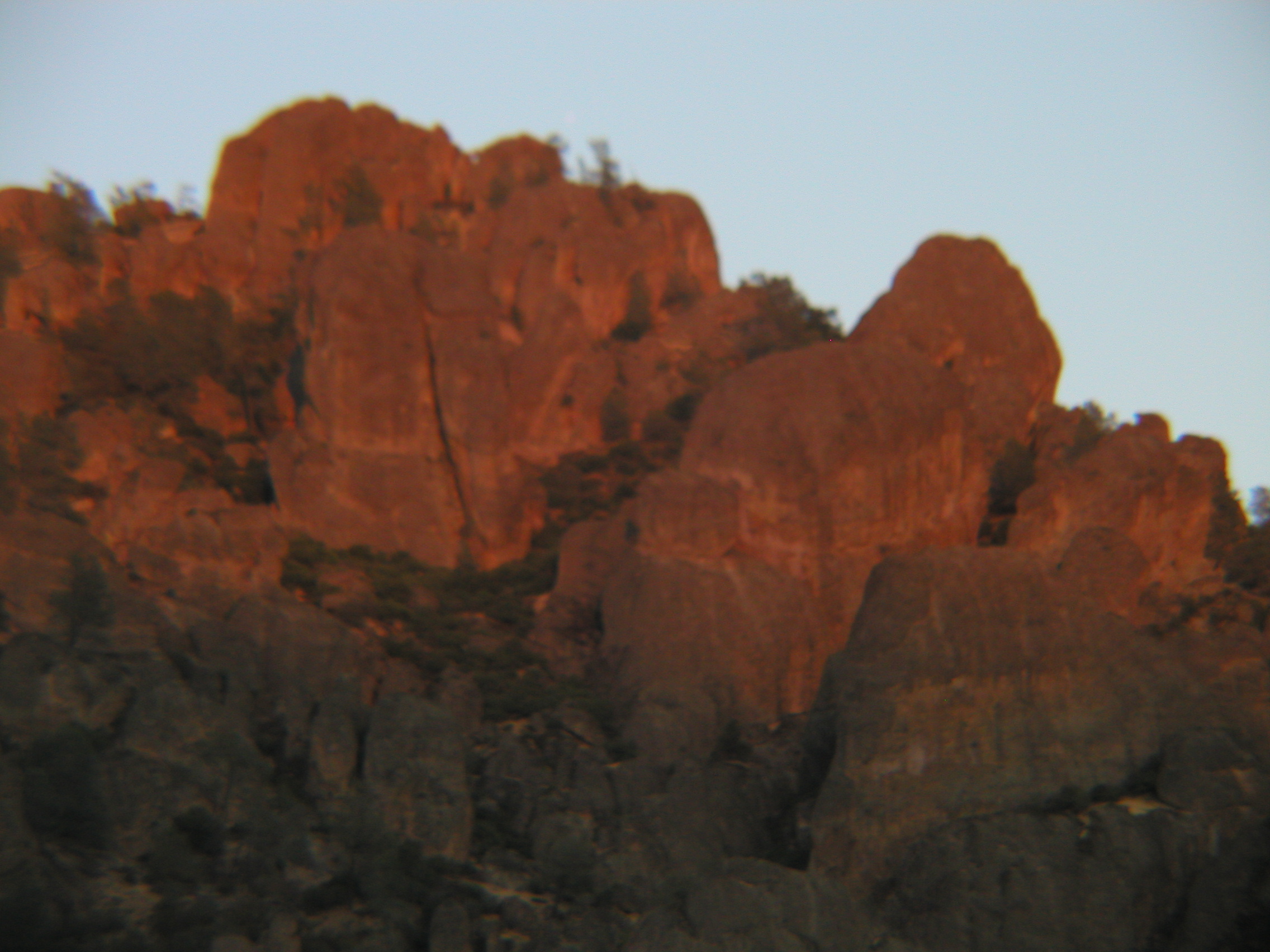 P1010316.JPG