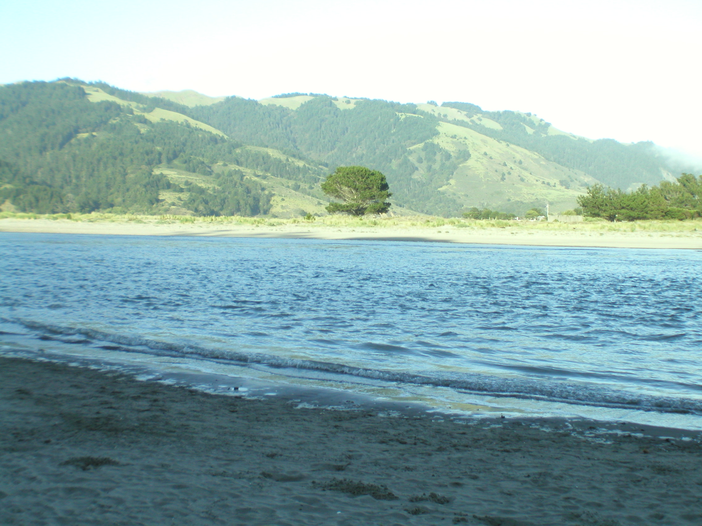 P1010026.JPG